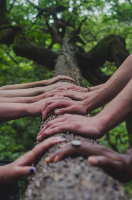 Viele Hände fassen gemeinsam an einen Baumstamm.